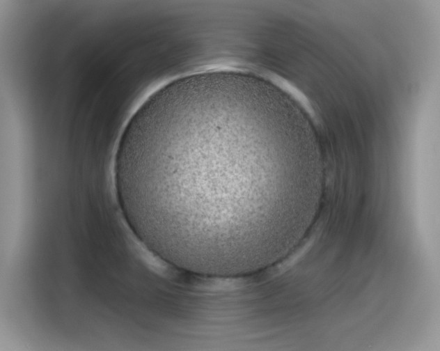 X0000115611423200911171139