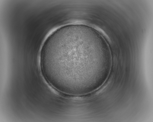 X0000115611424200911171139