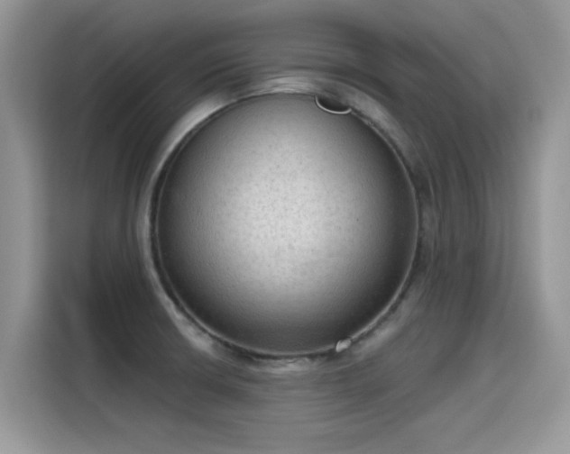X0000115611426200911171139