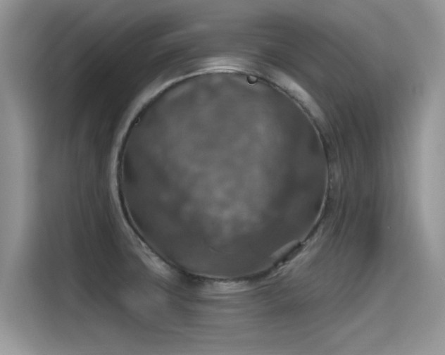 X0000115611427200911171139