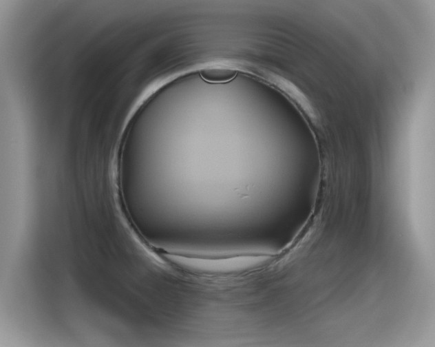 X0000115611428200911171139