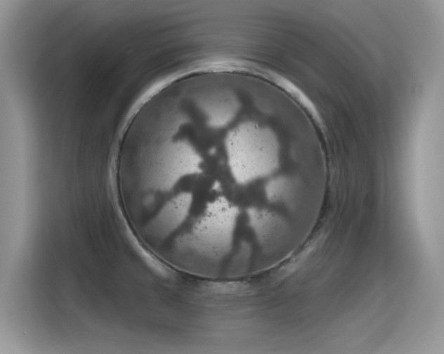 X0000115611429200911171139