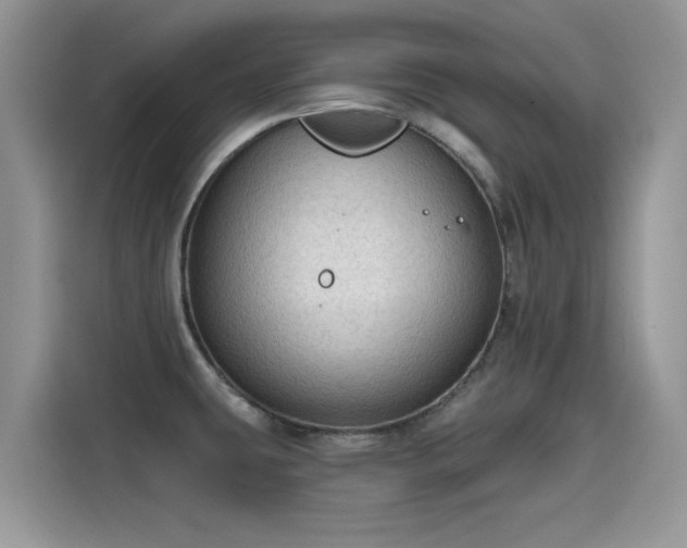X0000115611431200911171139