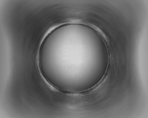 X0000115611432200911171139