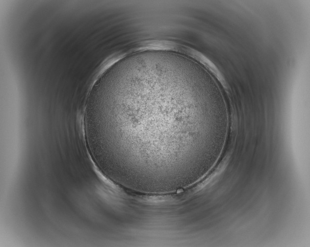 X0000115611433200911171139