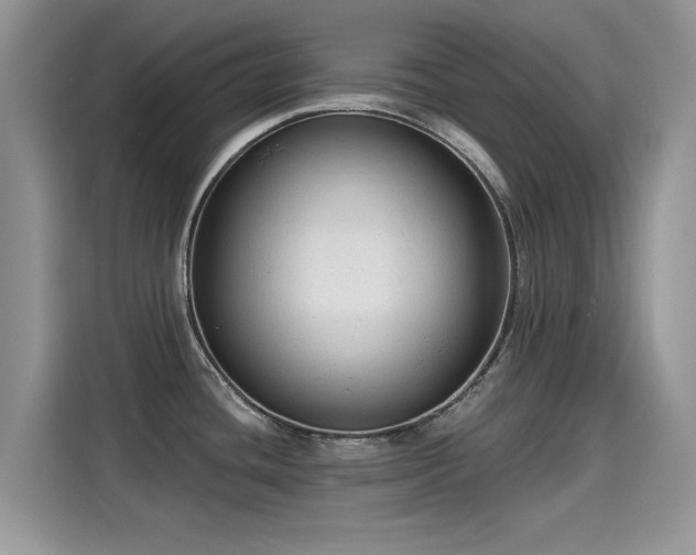 X0000115611436200911171139
