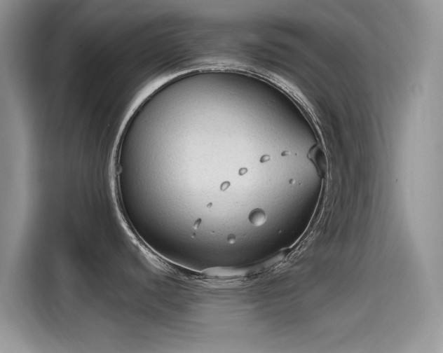 X0000115611440200911171139