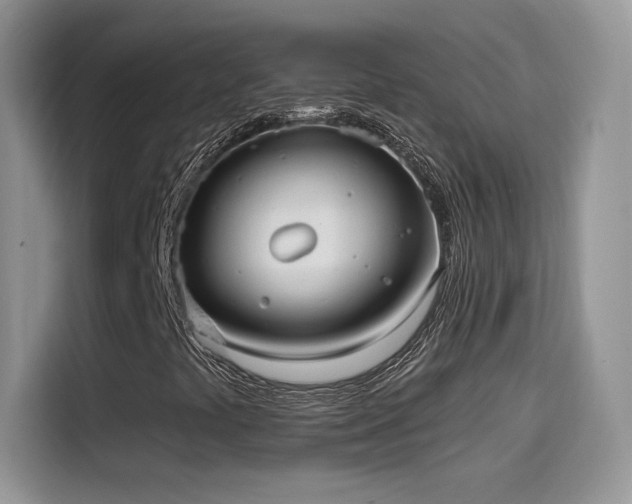 X0000115611441200911171139