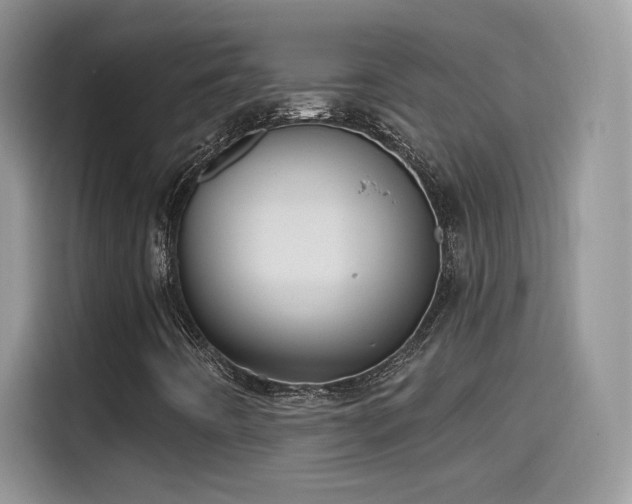 X0000115611442200911171139