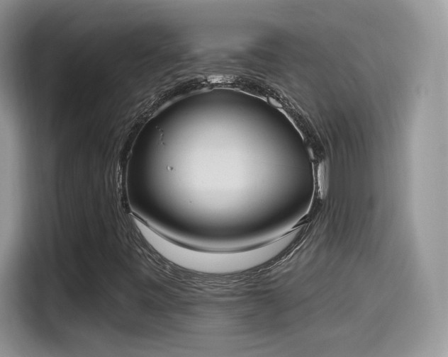 X0000115611443200911171139