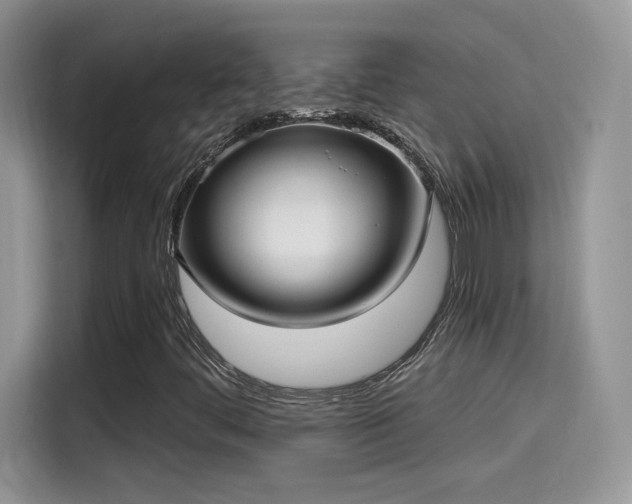 X0000115611444200911171139