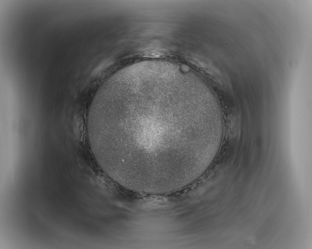 X0000115611446200911171139