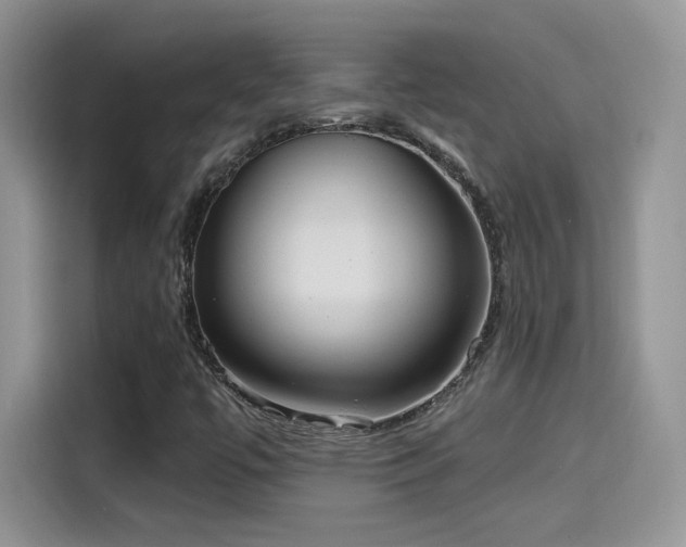X0000115611447200911171139