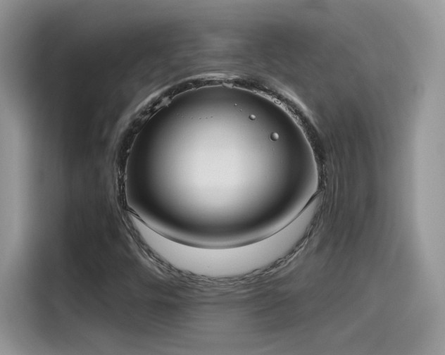 X0000115611448200911171139