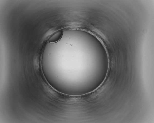 X0000115611451200911171139