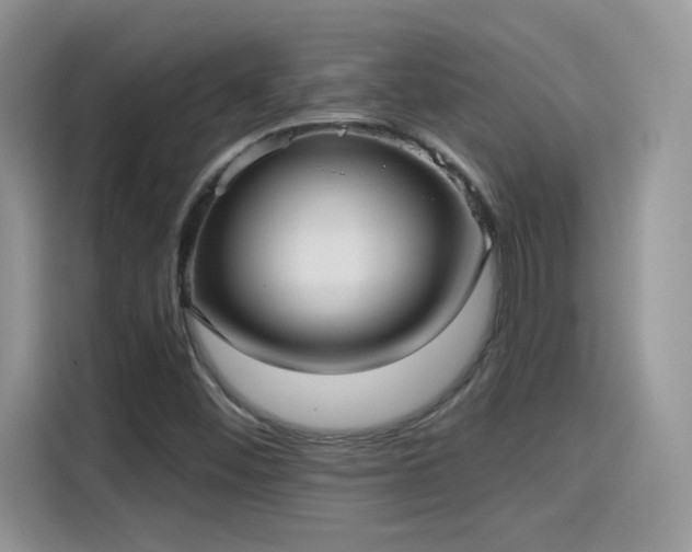 X0000115611452200911171139