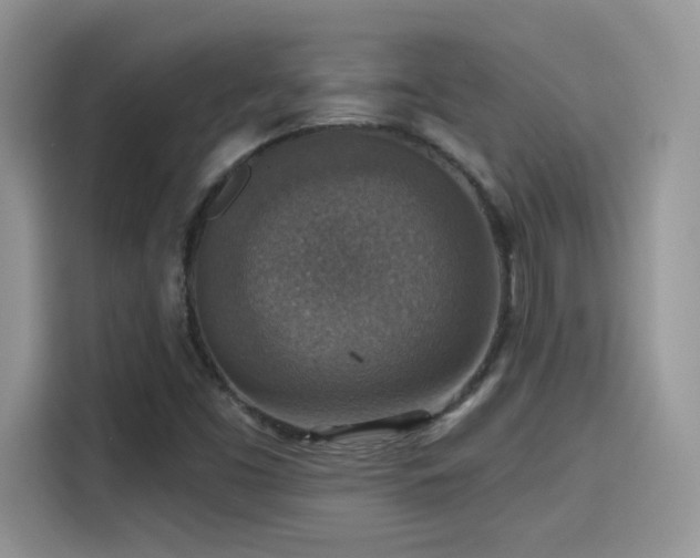 X0000115611453200911171139