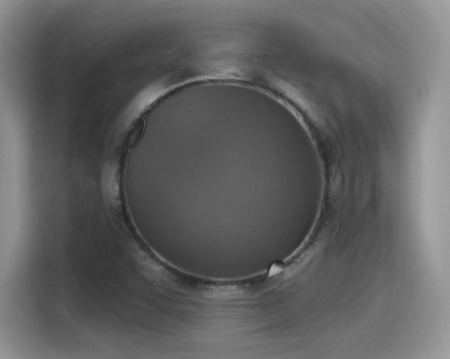 X0000115611455200911171138