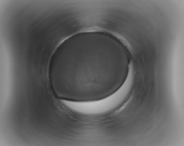 X0000115611457200911171138