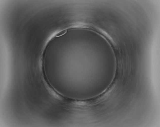 X0000115611463200911171138