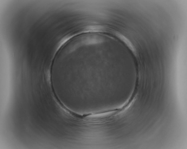 X0000115611465200911171138