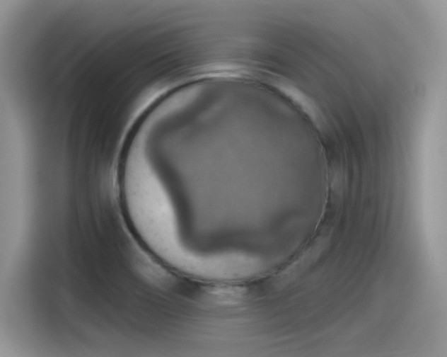 X0000115611466200911171138