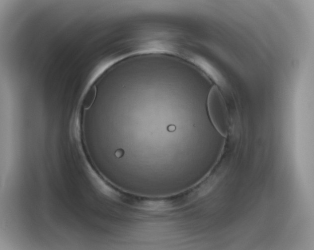 X0000115611468200911171138