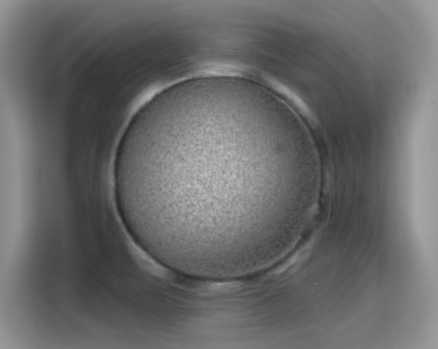 X0000115611471200911171138