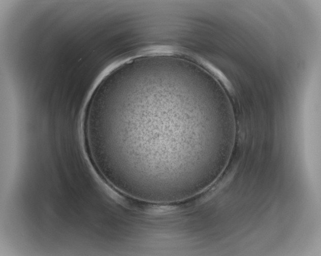 X0000115611475200911171138