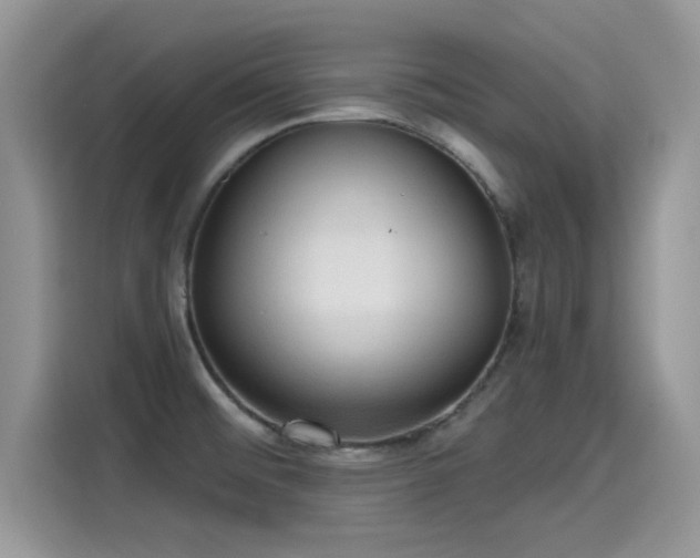 X0000115611476200911171138