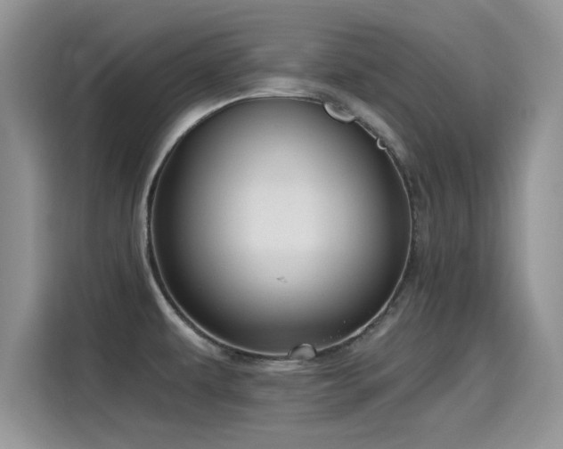 X0000115611479200911171138