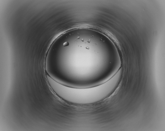 X0000115611481200911171138