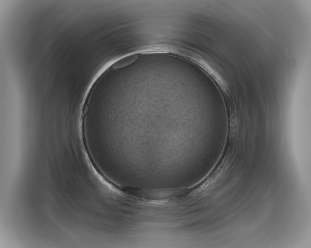 X0000115611484200911171138