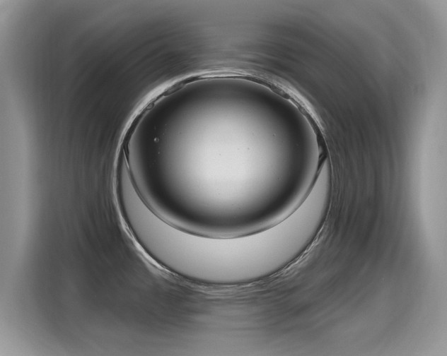 X0000115611485200911171138