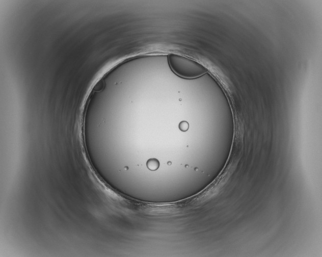 X0000115611486200911171138