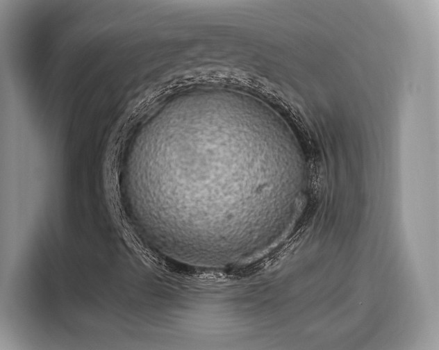 X0000115611489200911171137