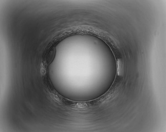 X0000115611491200911171137