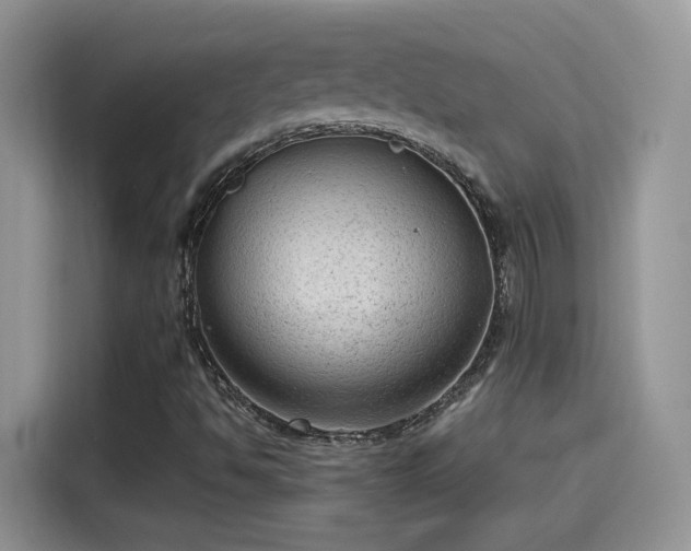 X0000115611494200911171138