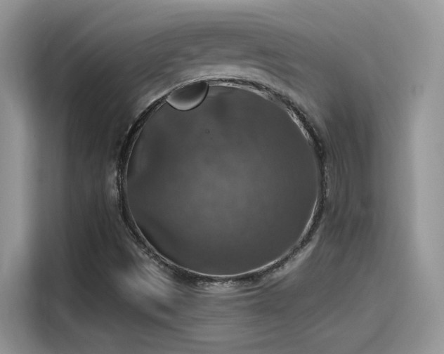 X0000115611497200911171138