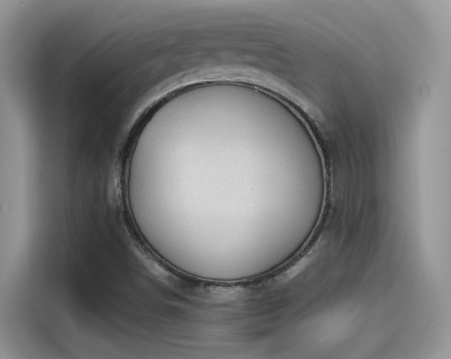 X0000115611498200911171138