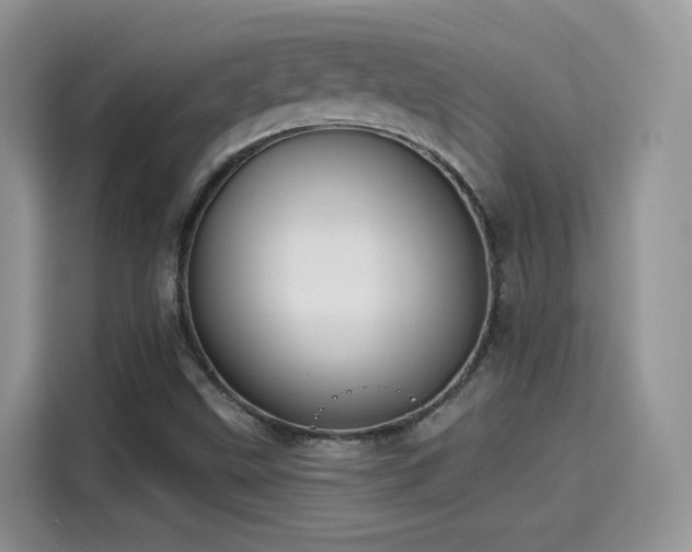 X0000115611499200911171138