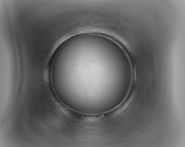 X0000115611501200911171138
