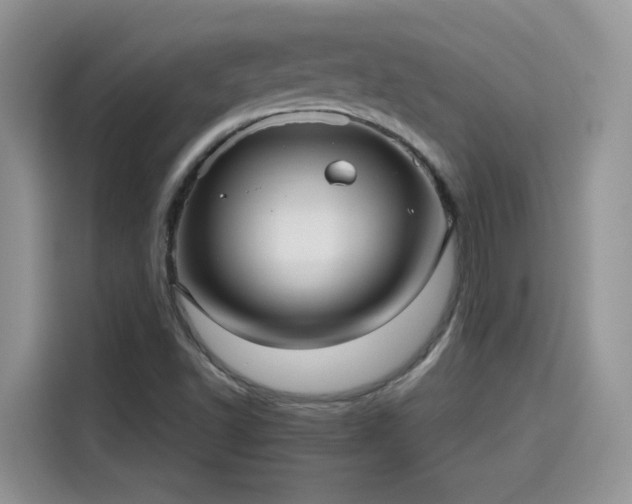 X0000115611502200911171138