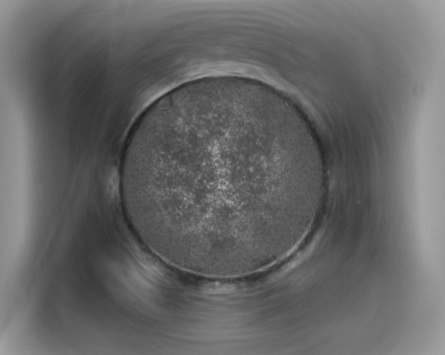 X0000115611505200911171138