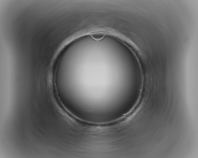 X0000115611506200911171138