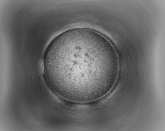 X0000115611509200911171138
