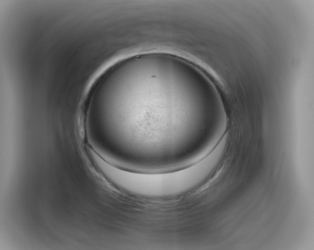 X0000115611510200911171138