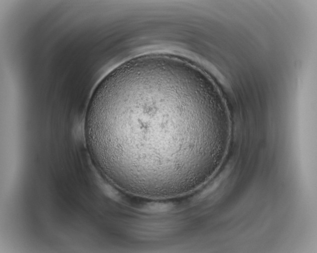 X0000115611513200911171138