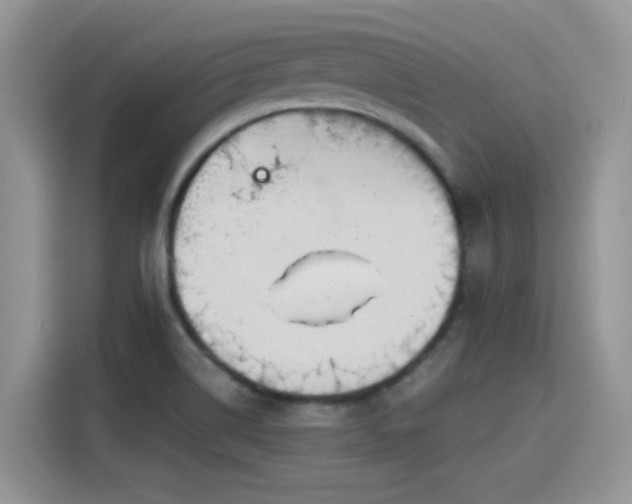 X0000115611514200911171138