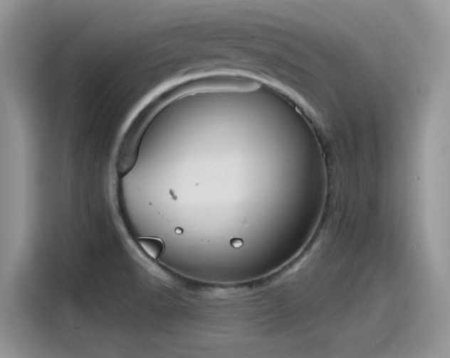 X0000115611518200911171138